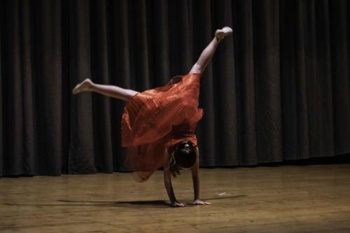 Danza Saggio Arte Corpo Natura-107 (1)